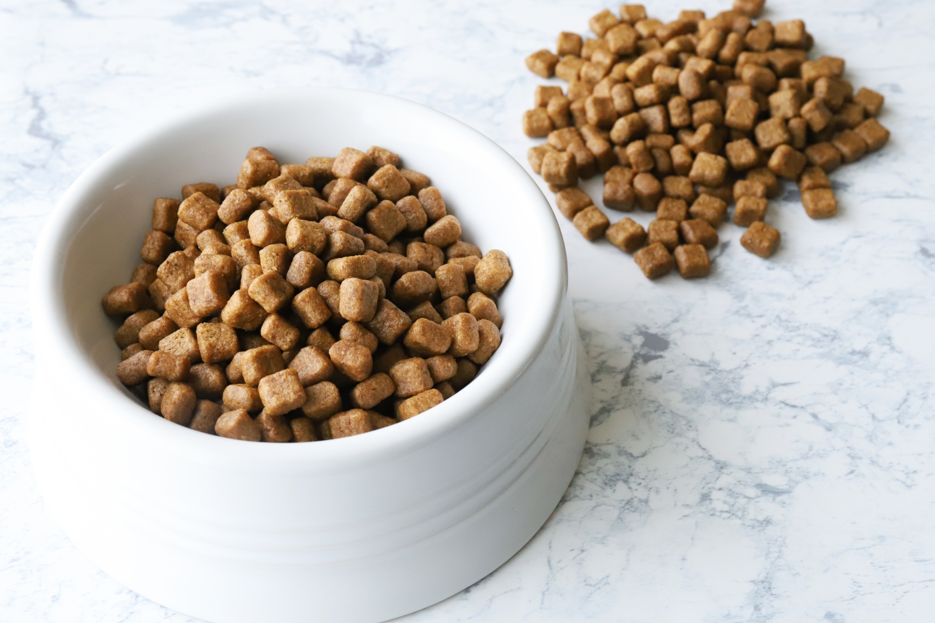 White bowl overflowing with brown cubed dry pet food on a marble countertop.
